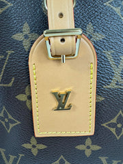 Louis Vuitton Monogram Odeon PM