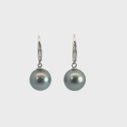 South Sea Pearl Earrings with Diamonds in 14K White Gold